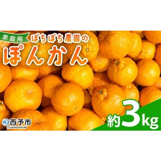 ふるさと納税 果物類 みかん 愛媛県 西予市 ぼちぼち農園のぽんかん 家庭用 約3kg 3キロ ぽんかん ポンカン 訳あり わけあり ワケアリ 果物 みかん ミカン 柑…