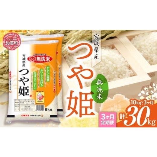 ふるさと納税 米 つや姫 宮城県 加美町 定期便3回 令和7年産 宮城県産 つや姫 無洗米 10kg(5kg×2)×3回 カメイ 宮城県 加美町 お米 こめ コメ 精米 白米 | …
