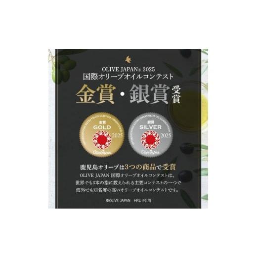 ふるさと納税 食用油 オリーブオイル 鹿児島県 日置市 No.1281-B 定期便・全6回(連続) イタリア産＆ガーリックオイル オリーブオイルセット(200ml×2本) 日置…_2