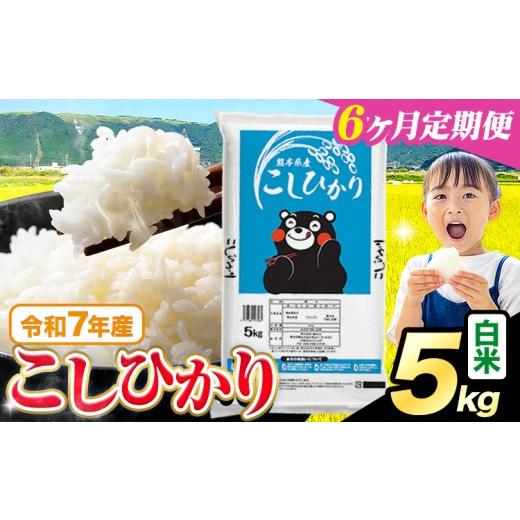 ふるさと納税 米 コシヒカリ 熊本県 苓北町  6ヶ月定期便 令和7年産 白米 こしひかり 5kg《お申込みの翌月出荷》熊本県産 ふるさと納税 白米 精米 ひの 米 こ…の画像