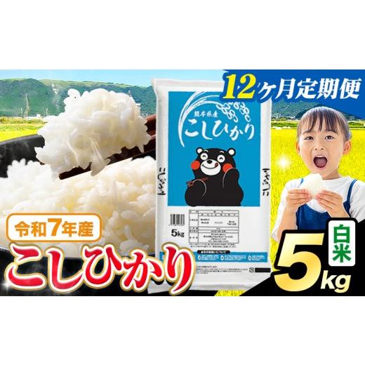 ふるさと納税 米 コシヒカリ 熊本県 苓北町 12ヶ月定期便 令和7年産 白米 こしひかり 5kg[お申込み翌月から出荷]熊本県産 ふるさと納税 白米 精米 ひの 米 …
