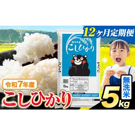 ふるさと納税 米 コシヒカリ 熊本県 苓北町 12ヶ月定期便 令和7年産 無洗米 こしひかり 5kg[お申込みの翌月出荷]熊本県産 ふるさと納税 無洗米 精米 ひの …
