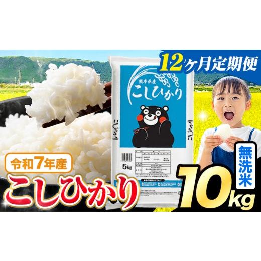ふるさと納税 米 コシヒカリ 熊本県 苓北町 12ヶ月定期便 令和7年産 無洗米 こしひかり 10kg(5kg×2袋)[お申込み翌月から出荷]熊本県産 ふるさと納税 無洗…