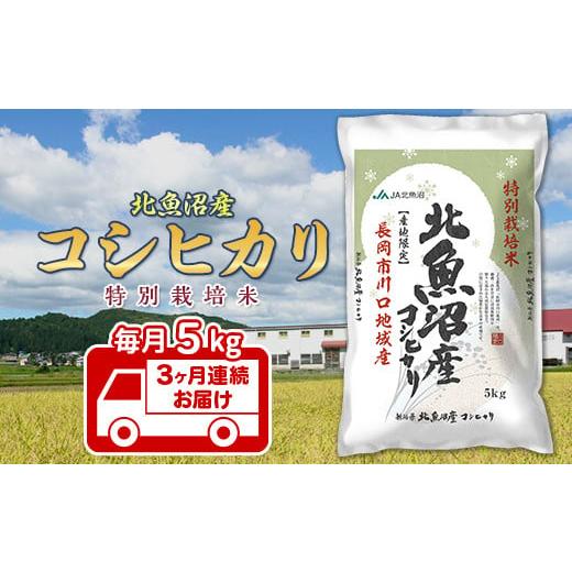 ふるさと納税 米 コシヒカリ 新潟県 長岡市 7T05-3 3ヶ月連続お届け 北魚沼産コシヒカリ特別栽培米5kg(長岡川口地域) 2025年11月発送開始 発送時期:2025年1…