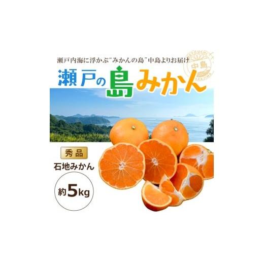 ふるさと納税 みかん・柑橘類 愛媛県 松山市 先行予約 瀬戸内海の島みかん (秀品) 石地みかん 約5kg | 柑橘 みかん 密柑 オレンジ フルーツ 果物 2026年1月頃…