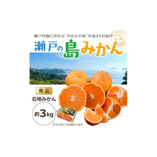 ふるさと納税 みかん・柑橘類 愛媛県 松山市 先行予約 瀬戸内海の島みかん (秀品・ギフトBOX入) 石地みかん 約3kg | 柑橘 みかん 密柑 オレンジ フルーツ 果…