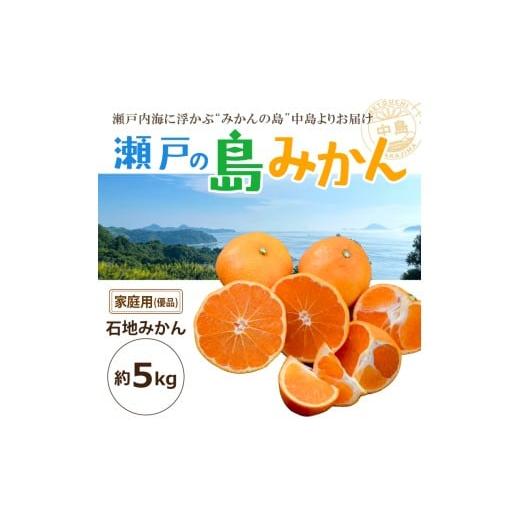 ふるさと納税 みかん・柑橘類 愛媛県 松山市 先行予約 瀬戸内海の島みかん 家庭用 (優品) 石地みかん 約5kg | 柑橘 みかん 密柑 オレンジ フルーツ 果物 2026…