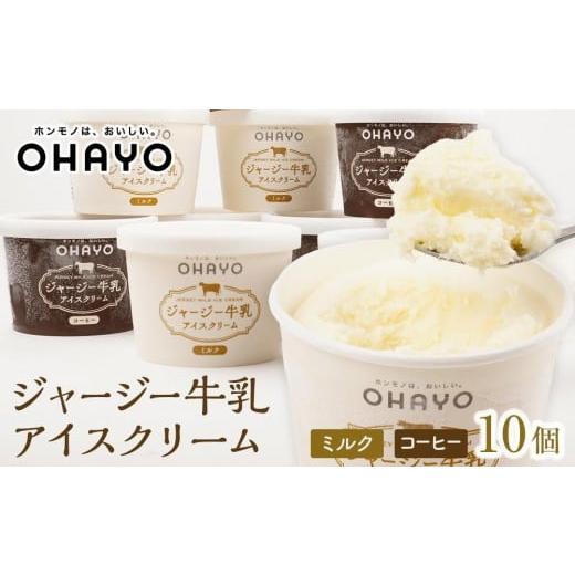 ふるさと納税 菓子 アイス 岡山県 岡山市 12月発送 オハヨー乳業 ジャージー牛乳アイスクリーム 120ml×10個(ミルク・コーヒー)ギフト | アイス あいす ミ…