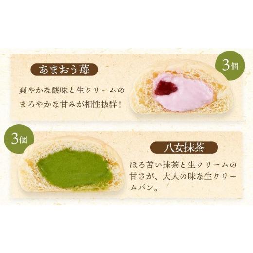 ふるさと納税 パン 菓子パン 岡山県 岡山市 究極のふわとろ食感 清水屋 生クリームパン 15個 5種（カスタード・生クリーム・チョコ・あまおう苺・八女抹茶） …_6