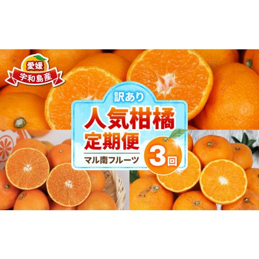 ふるさと納税 果物類 みかん 愛媛県 宇和島市 訳あり 人気柑橘 3回 定期便 マル南フルーツ 愛果28号 ( 紅まどんな と同品種) 宇和島みかん 蜜柑 mikan みかん …