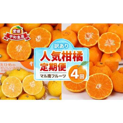 ふるさと納税 果物類 みかん 愛媛県 宇和島市 訳あり 人気 柑橘 4回定期便 マル南フルーツ 宇和島みかん 南柑20号 蜜柑 mikan みかん ポンカン 媛小春 不知火 …