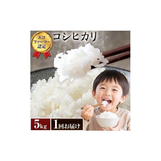 ふるさと納税 米 コシヒカリ 千葉県 東庄町 米 令和7年産 コシヒカリ 白米 5kg 農事組合法人新宿営農組合 [60日以内に出荷予定(土日祝除く)] 米 こめ コメ …