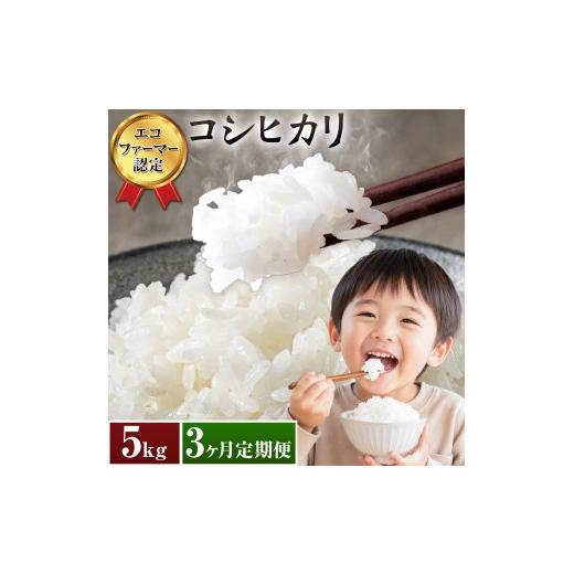 ふるさと納税 米 コシヒカリ 千葉県 東庄町 米 コシヒカリ 白米 5kg 3ヶ月定期便 農事組合法人新宿営農組合 [お申込み翌月から出荷] 米 こめ コメ ごはん ご…