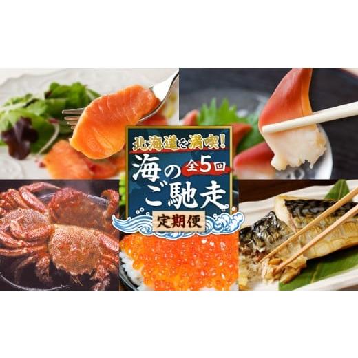ふるさと納税 魚貝類 北海道 苫小牧市 全5回 北海道を満喫 海のご馳走定期便 T000-T01