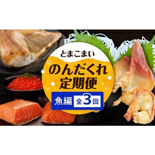 ふるさと納税 魚貝類 サーモン 北海道 苫小牧市 全3回 とまこまいのんだくれ定期便〜魚編〜 T000-T06-02