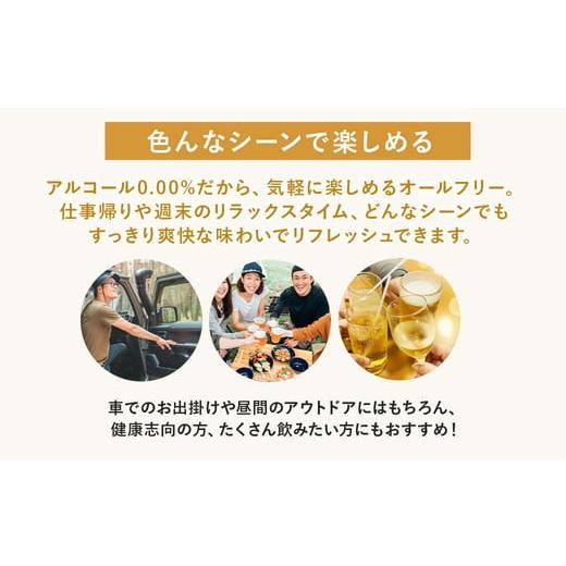 ふるさと納税 飲料類 群馬県 大泉町  3ヶ月定期便 サントリー からだを想うオールフリー 350ml×24本 離島への配送不可_5