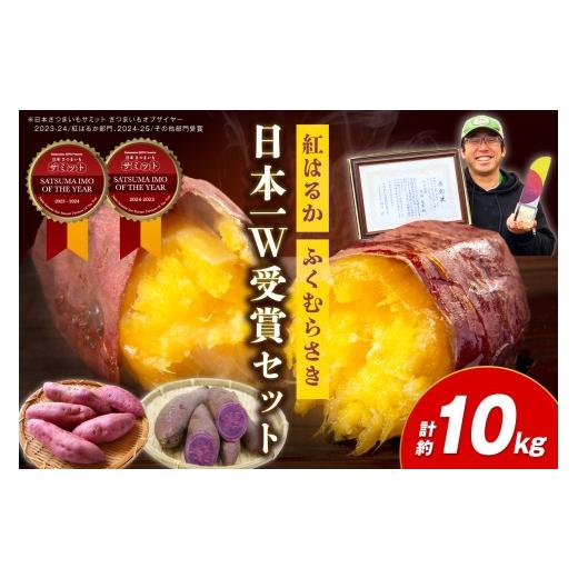 ふるさと納税 野菜類 サツマイモ 京都府 京丹後市 先行予約 日本一