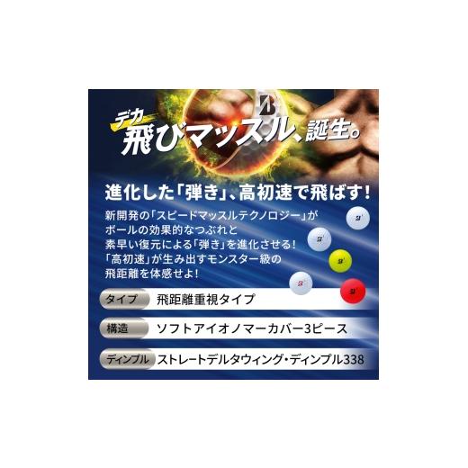 ふるさと納税 雑貨・日用品 千葉県 市原市 ゴルフ 25TOUR B JGR 16ダースセット ゴルフボール ブリヂストン パールホワイト(PW） No.5689-7963 パールホワイトの画像