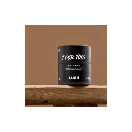 ふるさと納税 美容 神奈川県 愛川町 LUSH(ラッシュ) 素足のTブレイク 2