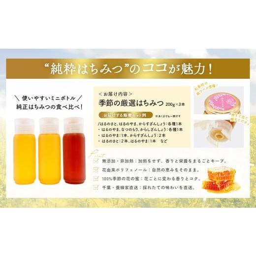 ふるさと納税 加工品等 はちみつ 千葉県 大網白里市 千葉県産「厳選純粋はちみつ」200gボトル×3本 ランダムにセレクト ふるさと納税 ハチミツ 蜂蜜 はちみつ …の画像