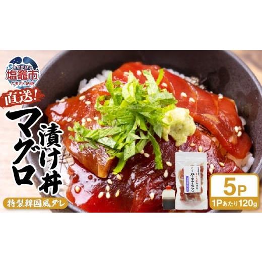 ふるさと納税 加工品等 宮城県 塩竈市 直送マグロ使用 まぐろパック 特製韓国風タレ付き 120g×5パック 塩竈市 塩釜 TUNA まぐろ屋やまもと | tu00002-5s 5…