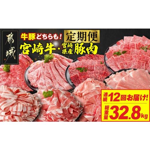 ふるさと納税 牛肉 焼肉・バーベキュー 宮崎県 都城市  12回連続お届け とにかくお肉大好き 宮崎牛と宮崎県産豚定期便L(総重量32.8kg)_T336-12-N201_(都城市) …_1