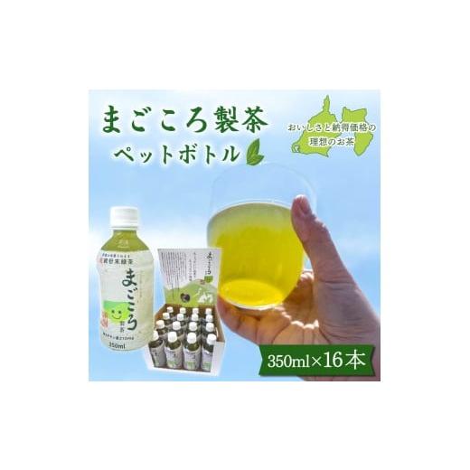 ふるさと納税 お茶類 緑茶（飲料） 静岡県 藤枝市 まごころ製茶 ペットボトル 350ml 16本 セット お茶 藤枝茶 緑茶 日本茶 飲料 持ち運び 便利 ペットボトル茶…_1