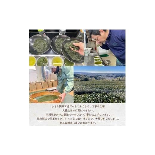 ふるさと納税 お茶類 緑茶（飲料） 静岡県 藤枝市 まごころ製茶 ペットボトル 350ml 16本 セット お茶 藤枝茶 緑茶 日本茶 飲料 持ち運び 便利 ペットボトル茶…_3