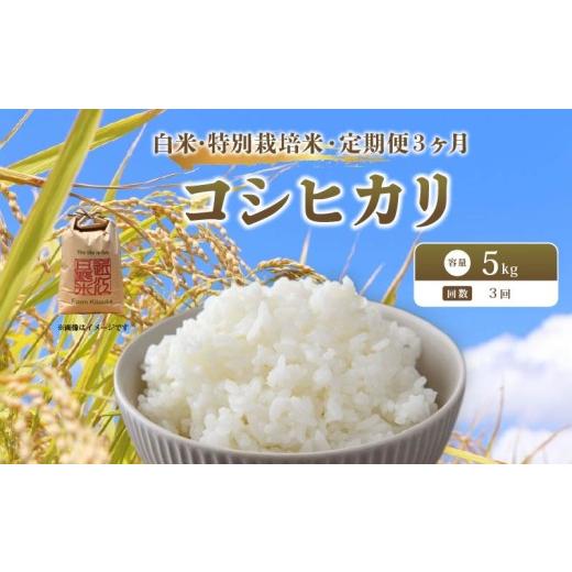 ふるさと納税 米 コシヒカリ 滋賀県 日野町 新米予約 先行予約 定期便