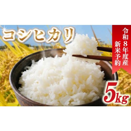 ふるさと納税 米 コシヒカリ 千葉県 旭市 先行予約 令和8年産 新米 米 コシヒカリ 5kg 精米 白米 新米5kg 2026年度 8年産 お米 ご飯 こめ コメ kome ライス こ…