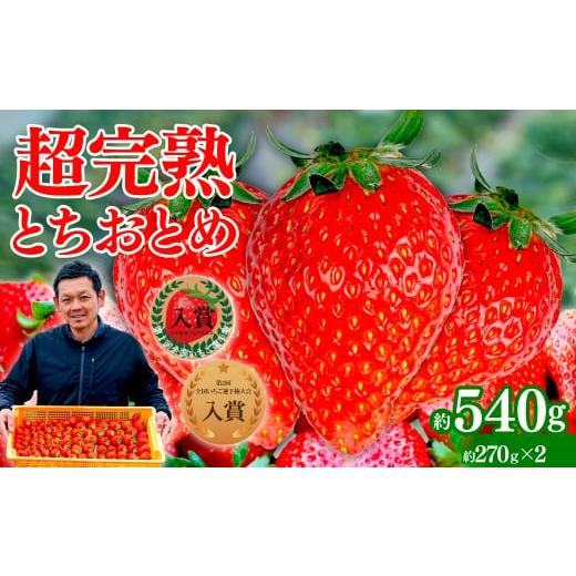 ふるさと納税 いちご 栃木県 茂木町 いちご 「茂木完熟いちご」 いちご選手権入賞 とちおとめ レギュラーサイズ 約270g×2パック 合計 約540g 2月以降発送 | …