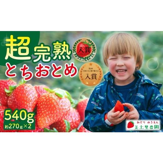 ふるさと納税 いちご 栃木県 茂木町 先行受付:1月中旬以降発送 いちご 「茂木完熟いちご」 美土里農園の朝採れ とちおとめ レギュラーサイズ 約270g×2パッ…