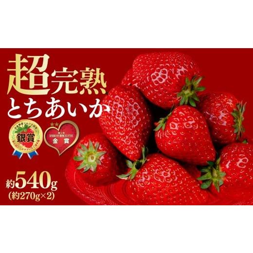 ふるさと納税 いちご 栃木県 茂木町 先行受付:1月中旬以降発送 いちご 鈴木ファームの とちあいか レギュラーサイズ 約270g × 2パック 合計 約540g | いち…