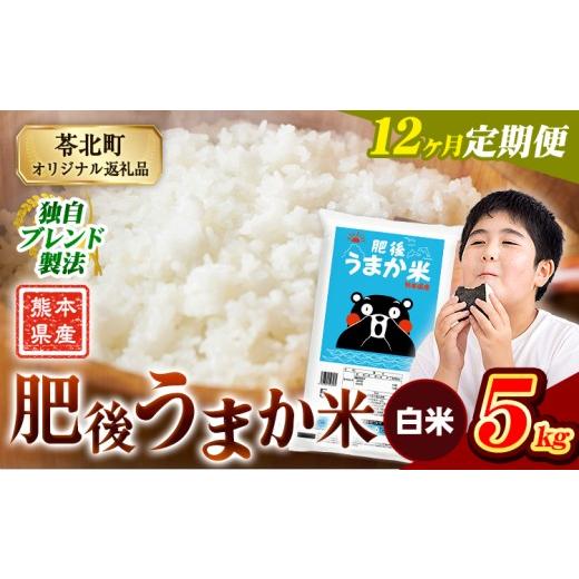 ふるさと納税 米 コシヒカリ 熊本県 苓北町 12か月定期便 米 白米 熊本県産 肥後うまか米 5kg 精米 こめ コメ お米 おこめ ブレンド米[申込月の翌月から出荷…