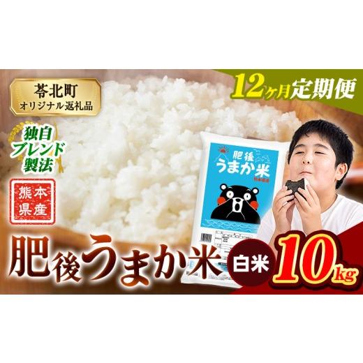 ふるさと納税 米 コシヒカリ 熊本県 苓北町 12か月定期便 米 白米 熊本県産 肥後うまか米 10kg(5kg×2袋) 精米 こめ コメ お米 おこめ ブレンド米[申込月の…
