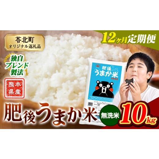 ふるさと納税 米 コシヒカリ 熊本県 苓北町 12か月定期便 米 無洗米 熊本県産 肥後うまか米 10kg(5kg×2袋) 精米 こめ コメ お米 おこめ ブレンド米[申込月…