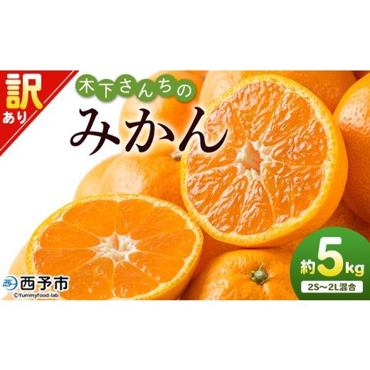 ふるさと納税 果物類 みかん 愛媛県 西予市 木下さんちのみかん 訳あり 約5kg(2S〜2Lサイズ混合) 選べる わけあり 家庭用 柑橘 温州みかん うんしゅうみか…