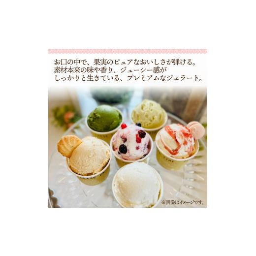 ふるさと納税 アイス・ヨーグルト ジェラート 静岡県 長泉町  先行受付2026年5月GW頃から発送 プレミアム ジェラート 18個 セット スイーツ 洋菓子 お菓子 お…の画像