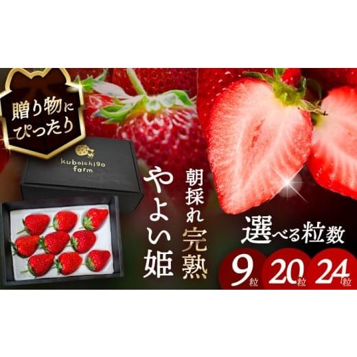 ふるさと納税 いちご 愛知県 愛西市 先行予約 ＼毎年12月より順次発送/ やよい姫 20粒 いちご フルーツ 果物 愛西市 / くぼ苺農園 配達不可:北海道・沖縄…