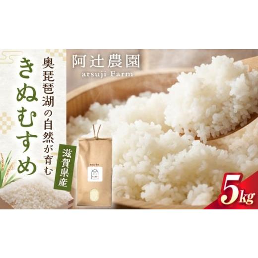 ふるさと納税 米 きぬむすめ 滋賀県 長浜市 令和7年産新米 きぬむすめ5kg 滋賀県長浜市/阿辻農園