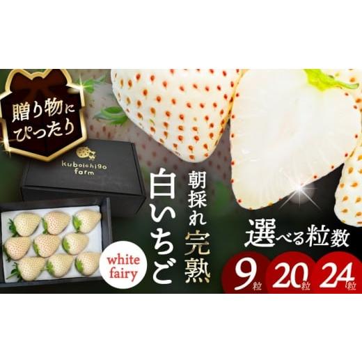 ふるさと納税 いちご 愛知県 愛西市 先行予約 ＼毎年1月より順次発送/ 白いちご White Fairy 9粒 愛西市 / くぼ苺農園 配達不可:北海道・沖縄・離島 AECJ…