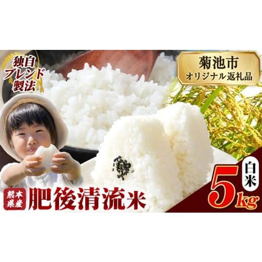 ふるさと納税 米 ブレンド 熊本県 菊池市 熊本県産 白米 肥後清流米 5kg 熊本県産 ふるさと納税 精米 米 こめ ふるさとのうぜい コメ お米 おこめ[12月中旬-2…