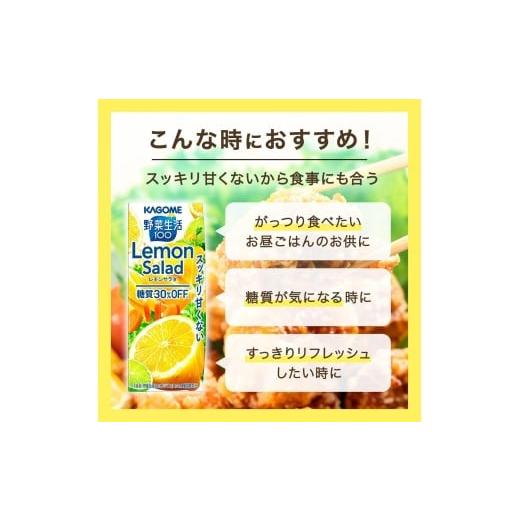ふるさと納税 果汁飲料 ミックス 長野県 富士見町  定期便 2ヶ月 カゴメ 野菜生活100 レモンサラダ 200ml 48本 健康飲料 ビタミンC 食物繊維 ミネラル 野菜ジ…の画像