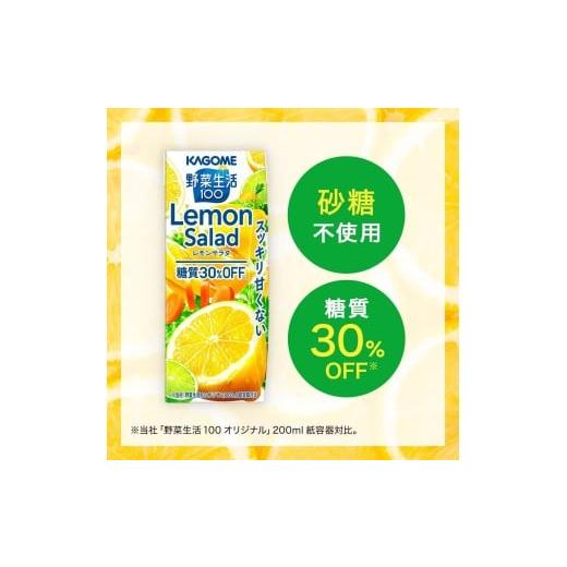 ふるさと納税 果汁飲料 ミックス 長野県 富士見町  定期便 2ヶ月 カゴメ 野菜生活100 レモンサラダ 200ml 48本 健康飲料 ビタミンC 食物繊維 ミネラル 野菜ジ…の画像