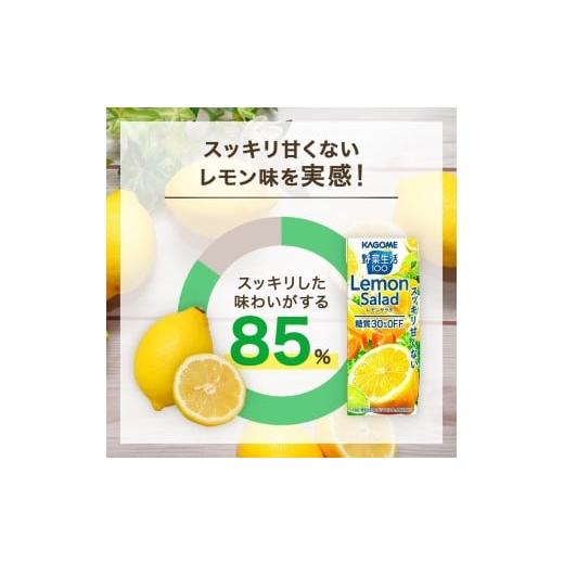 ふるさと納税 果汁飲料 ミックス 長野県 富士見町  定期便 2ヶ月 カゴメ 野菜生活100 レモンサラダ 200ml 48本 健康飲料 ビタミンC 食物繊維 ミネラル 野菜ジ…の画像
