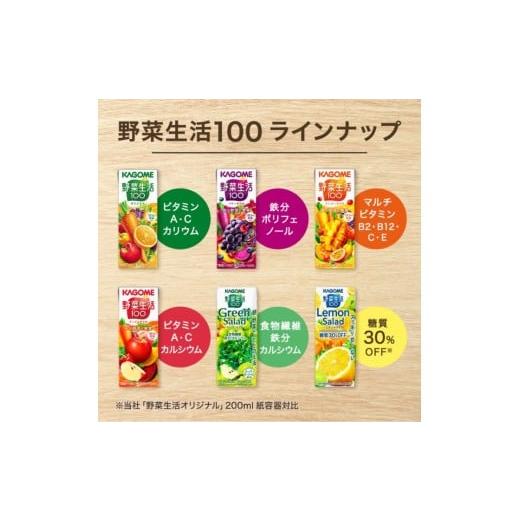 ふるさと納税 果汁飲料 ミックス 長野県 富士見町  定期便 2ヶ月 カゴメ 野菜生活100 レモンサラダ 200ml 48本 健康飲料 ビタミンC 食物繊維 ミネラル 野菜ジ…の画像