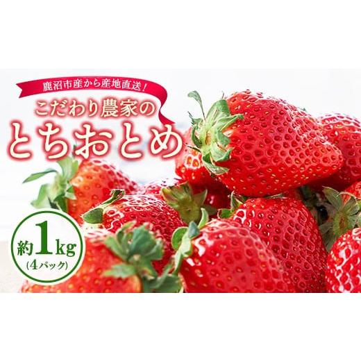ふるさと納税 いちご 栃木県 鹿沼市 こだわり農家のとちおとめ 1kg 4パック 2026年1月上旬〜3月下旬頃に順次発送予定 離島への配送不可