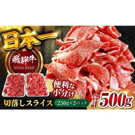 ふるさと納税 牛肉 岐阜県 岐阜市 12月上旬発送 飛騨牛 切落しスライス(250g×2) 和牛 焼肉 小分け 岐阜市/丸福商店 ANBO003-12-1 12月上旬発送