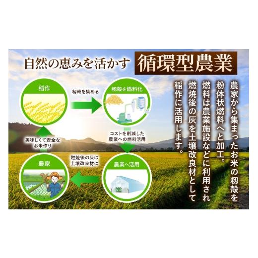 ふるさと納税 米 あきたこまち 秋田県 秋田市 《令和7年産》《定期便5ヶ月》 米 あきたこまち 5kg 玄米 秋田県産 米 コメ 玄米 あきたこまち おいしい 美味し…