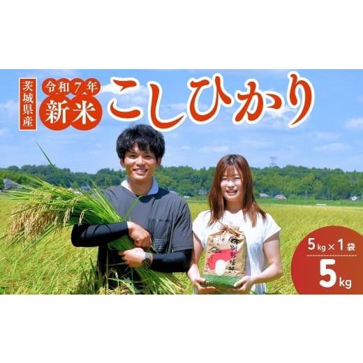 ふるさと納税 米 コシヒカリ 茨城県 龍ケ崎市 令和7年度新米 龍ケ崎のコシヒカリ 5kg(5kg×1袋) ? こしひかり お米 米 こめ 白米 精米 新米 冷めてもおいしい…